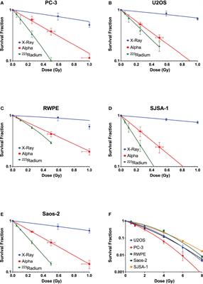 Differential responses to 223Ra and Alpha-particles exposure in prostate cancer driven by mitotic catastrophe